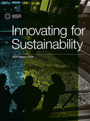 BSR报告2009封面